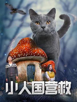 对门的情人