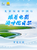 黄页网站播放器日本