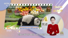 二区三区不卡不卡视频